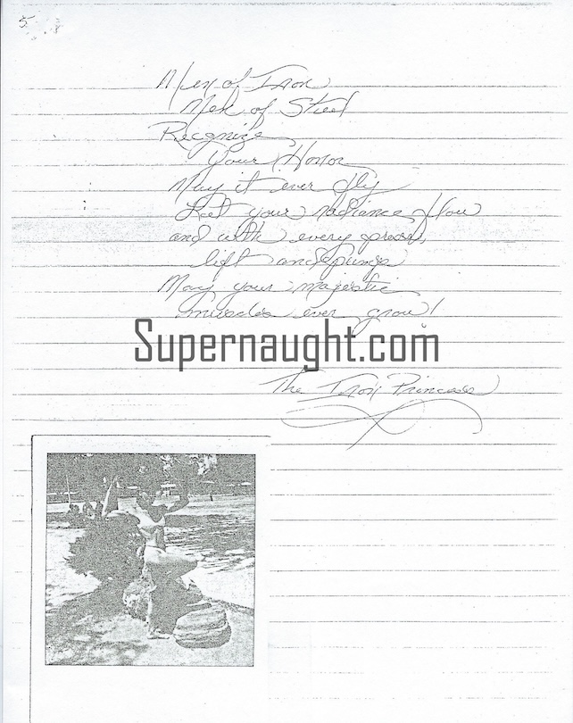Susan Atkins Men of Iron Poem Copy image 5