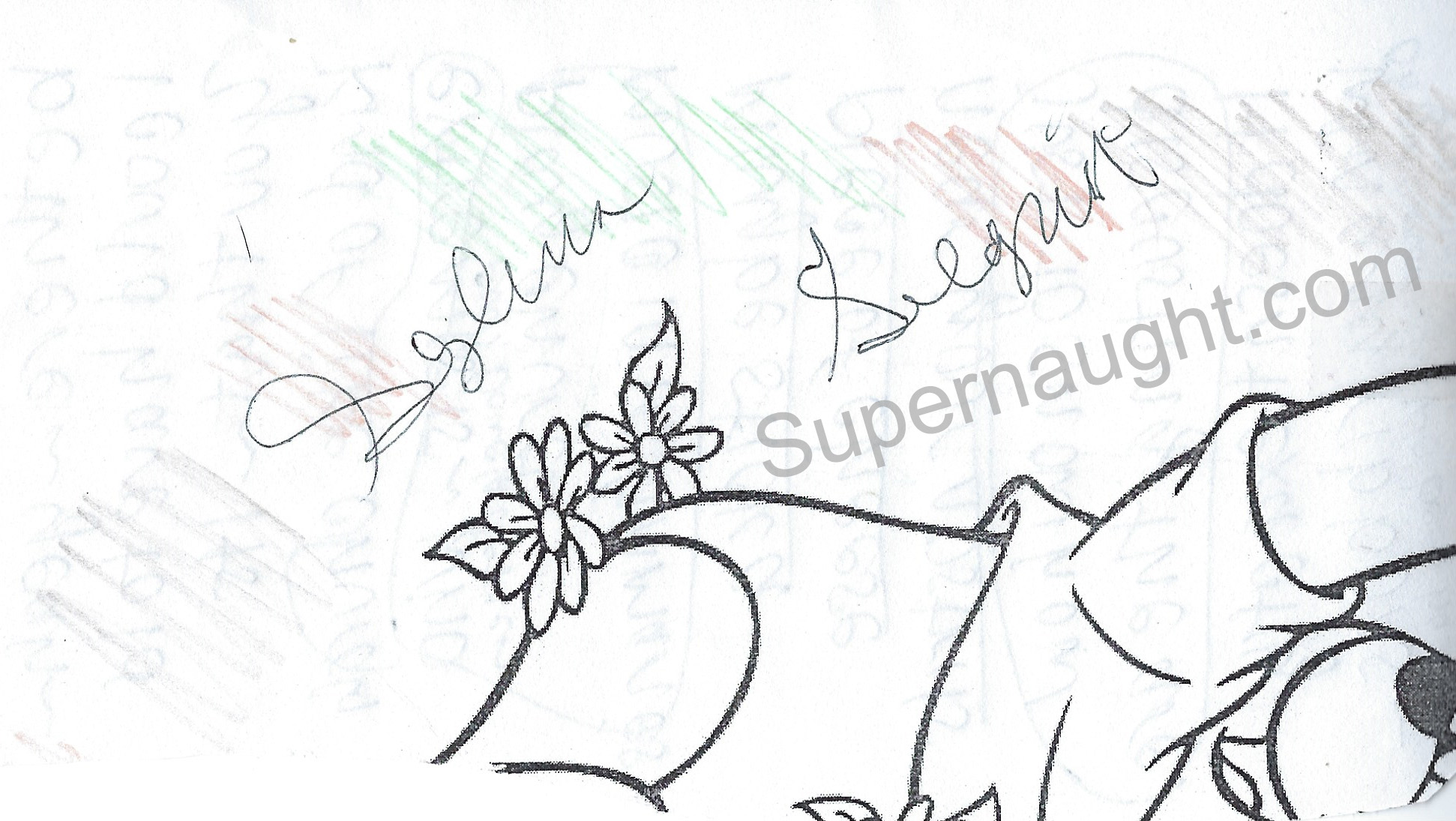 Sylvia Seegrist Christian Extremists Signed image 2