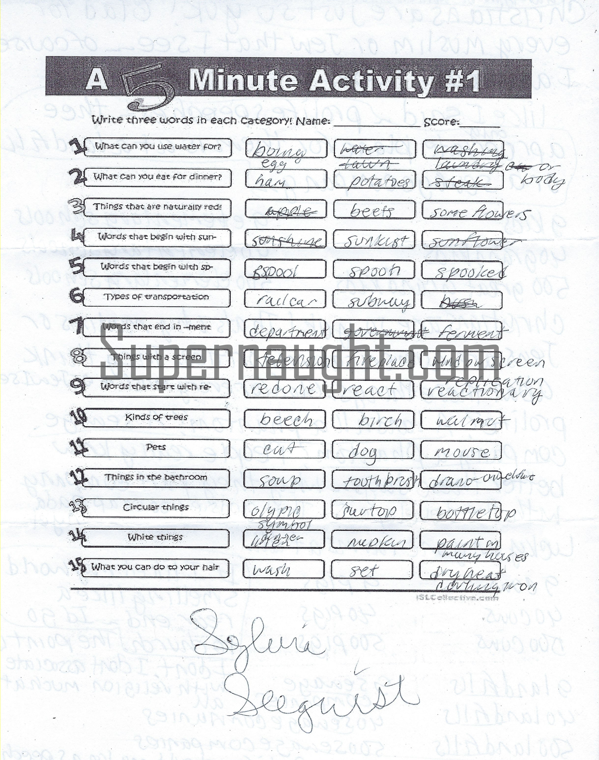 Sylvia Seegrist Insane Writings Signed image 2