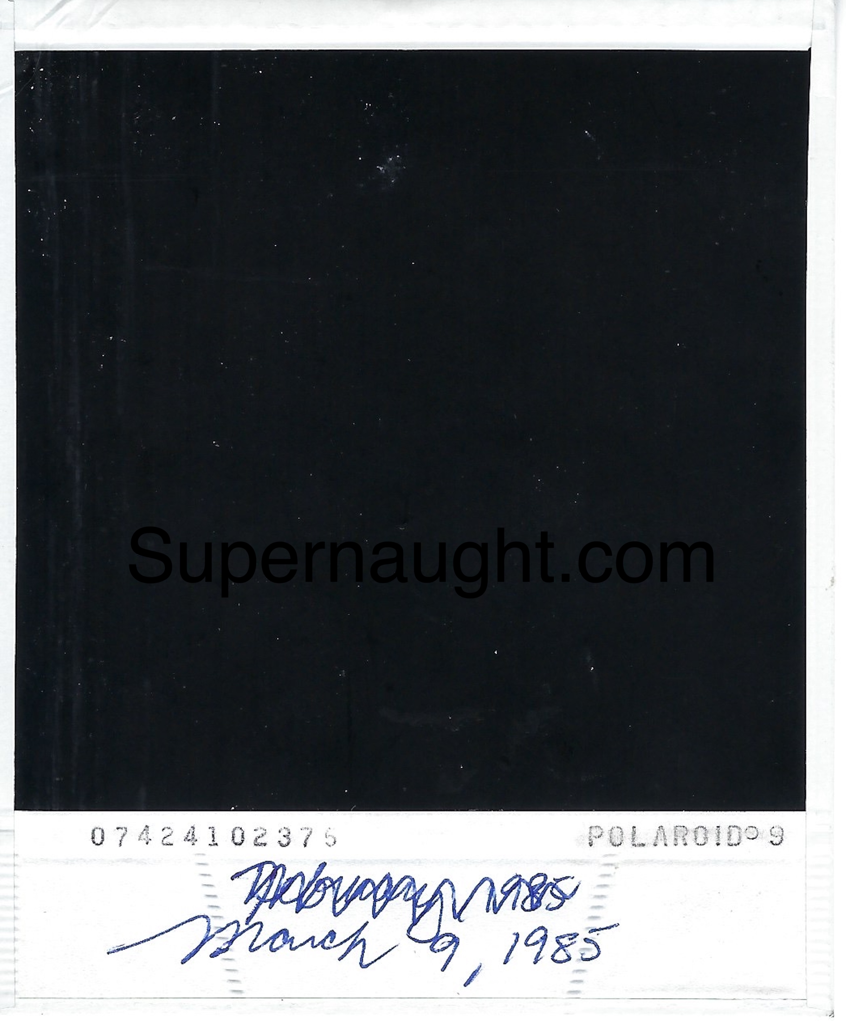 Ted Bundy 1985 Family Polaroid image 2