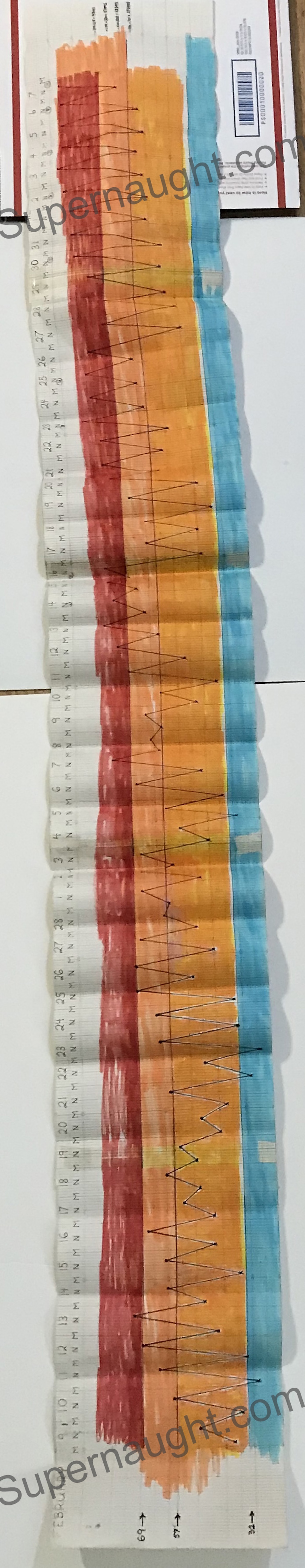 Ted Bundy Decomposition Chart Trial Exhibit image 2