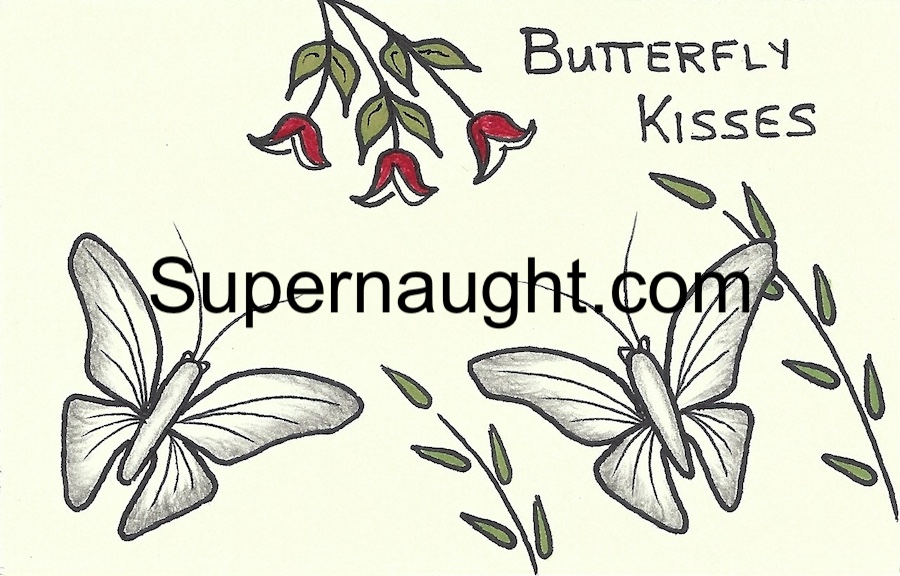 Terry Nichols Butterfly Kisses Artwork Card Signed Twice