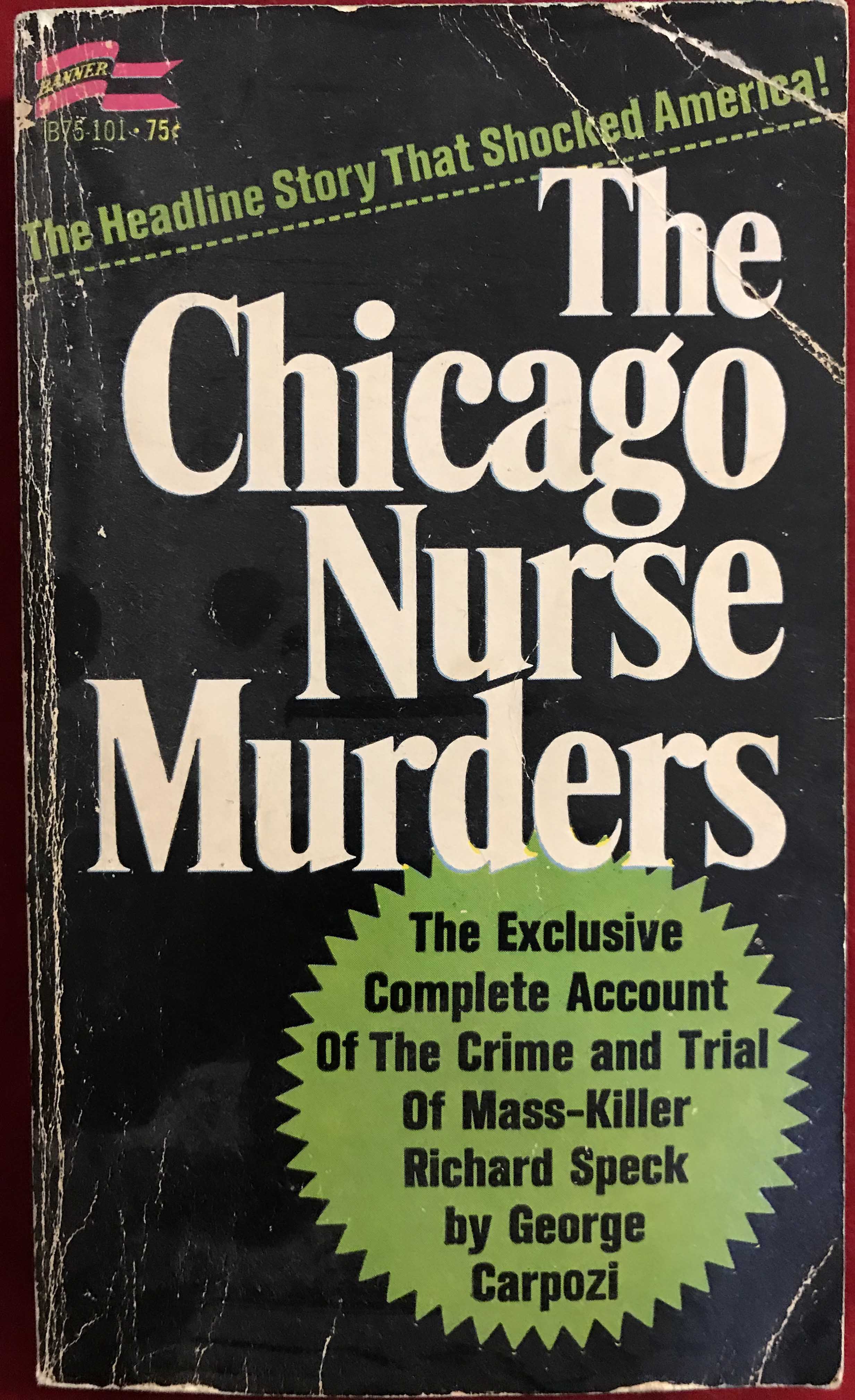 The Chicago Nurse Murders George Carpozi
