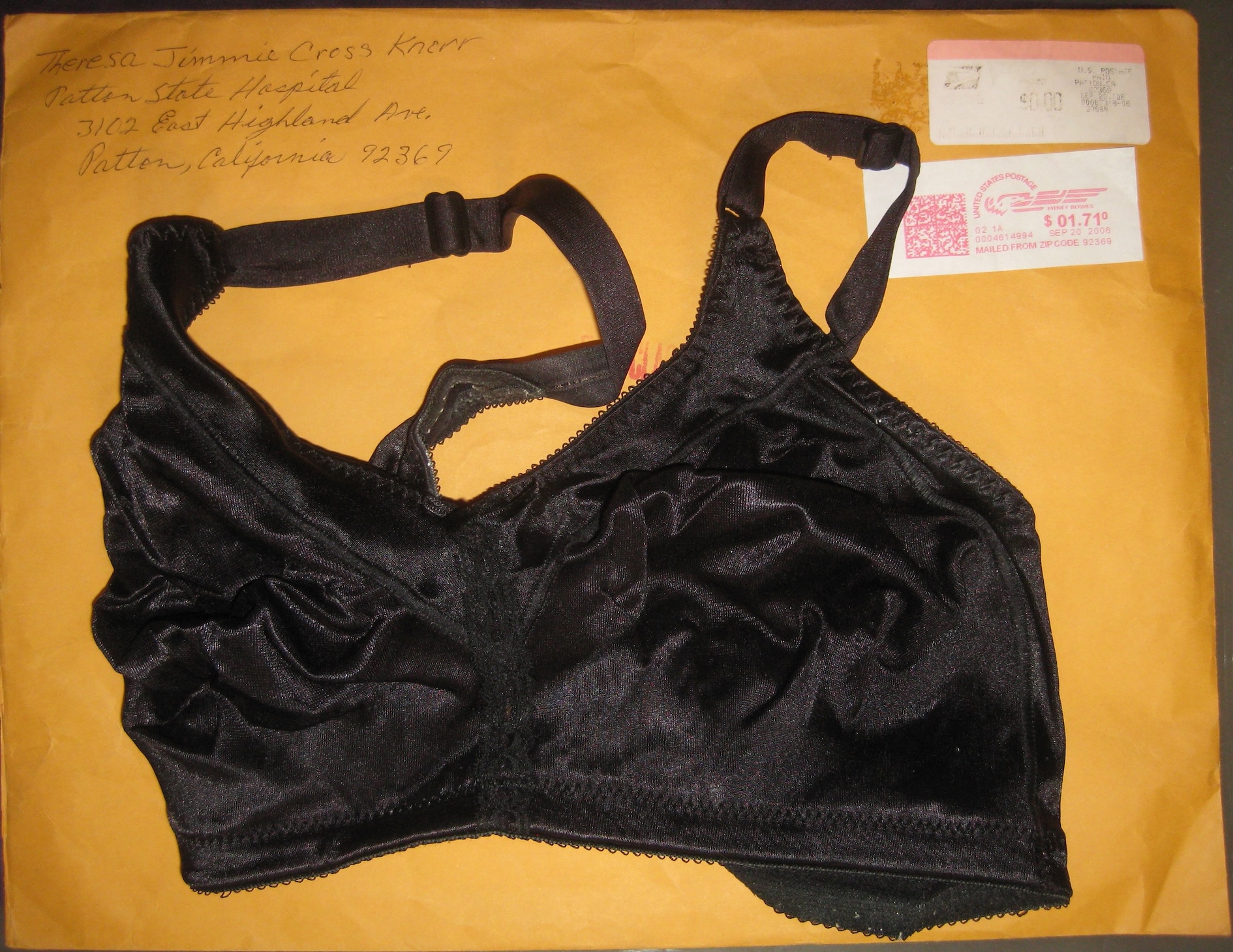 Theresa Cross Knorr Bra With Envelope