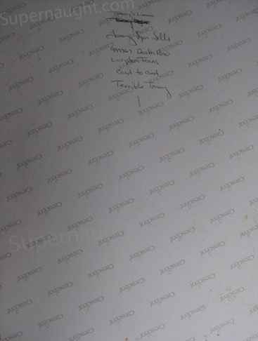 Tommy Lynn Sells Signed Tommy's Lioness Painting image 3