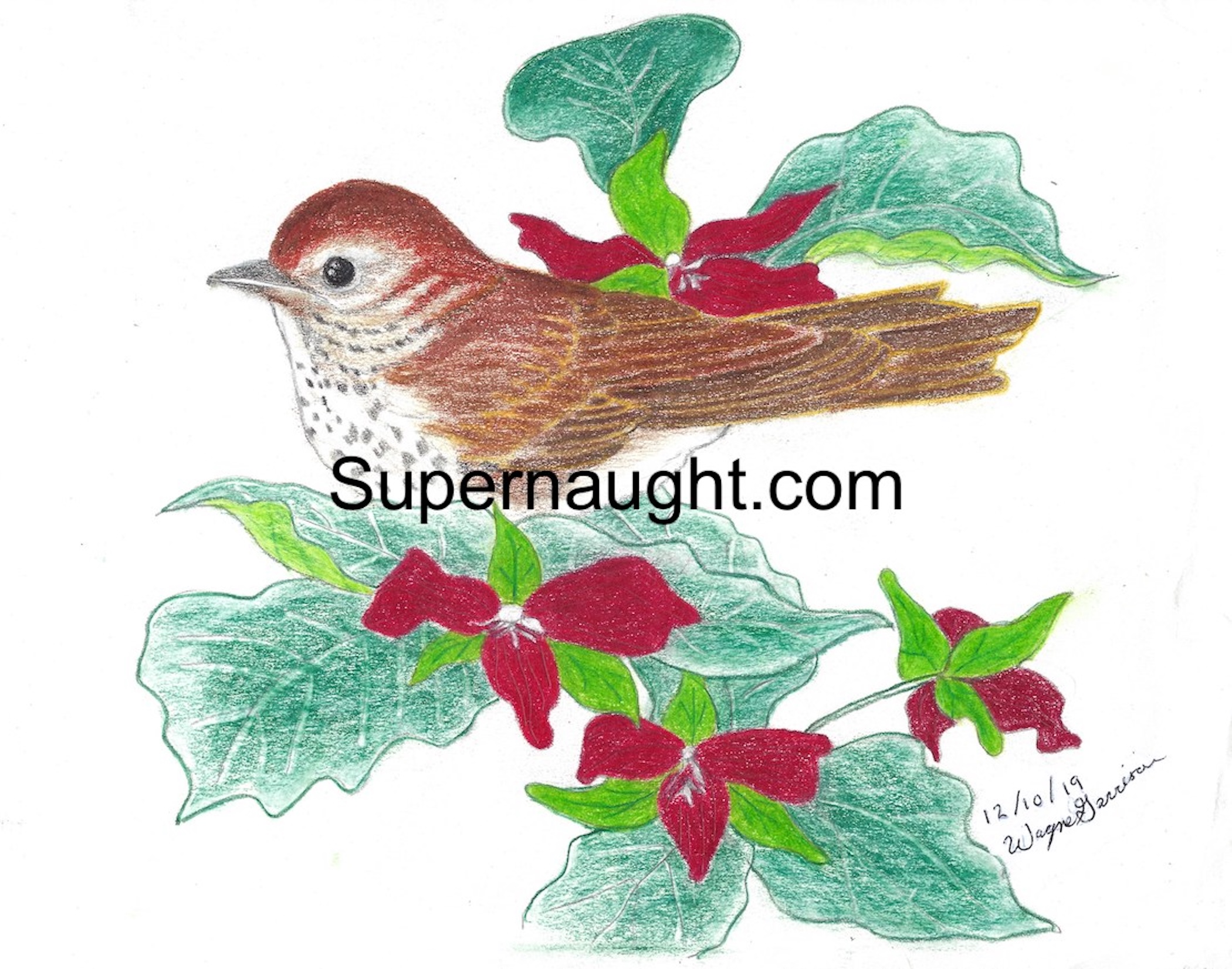 Wayne Garrison Bird Artwork Signed