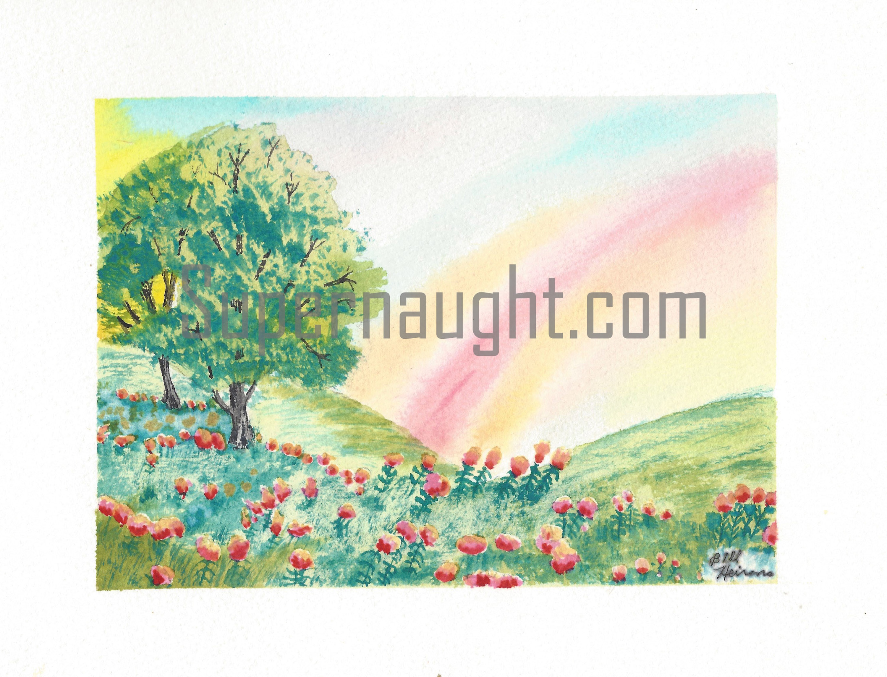 William Heirens Landscape Watercolor Painting Signed