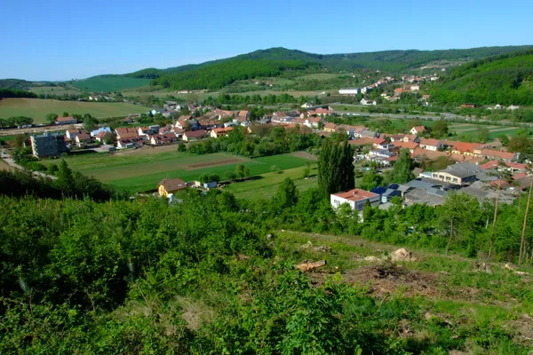 česká