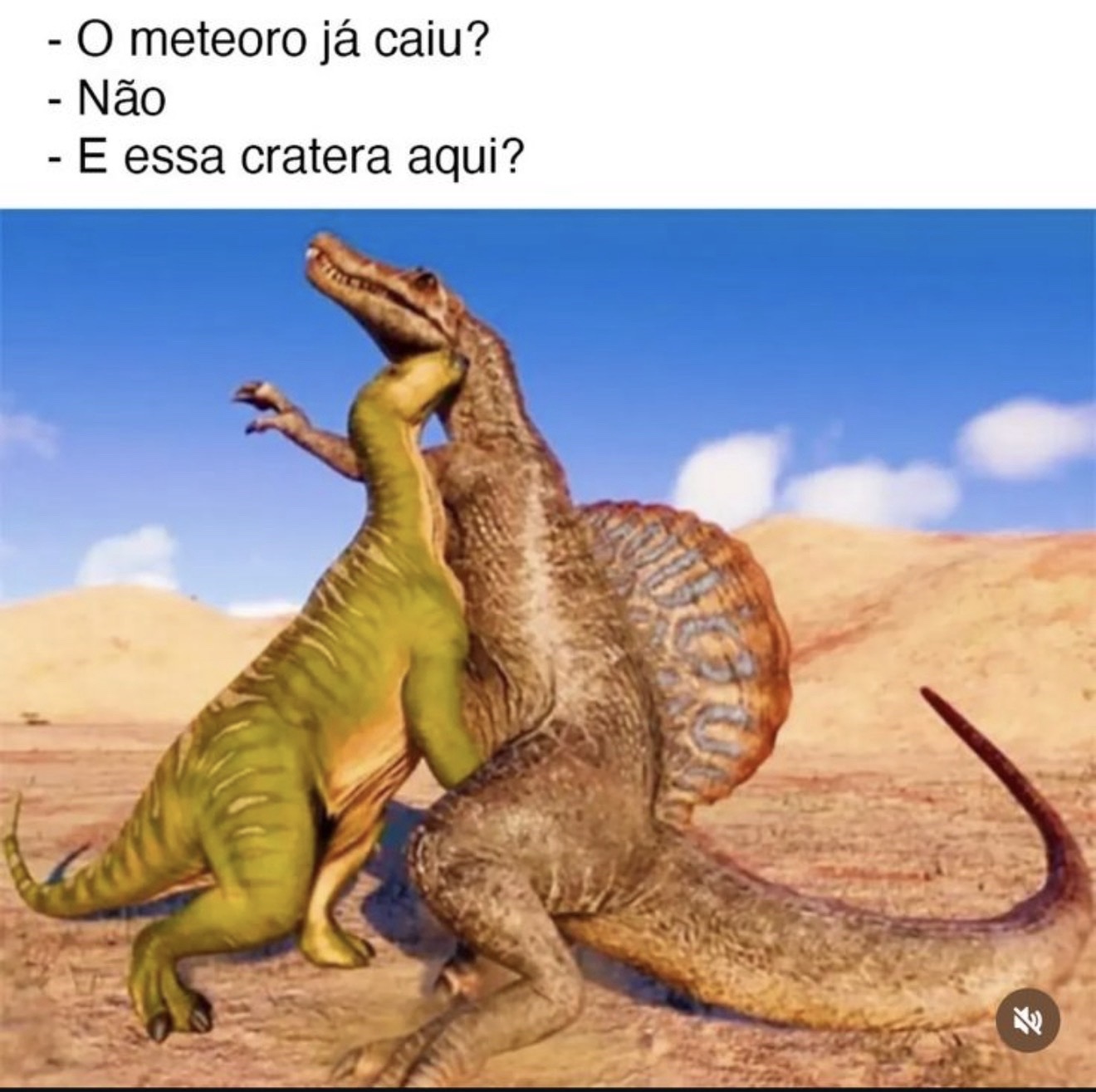 Flip by @vitorgarcia