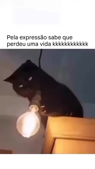 Flip by @francinetrama