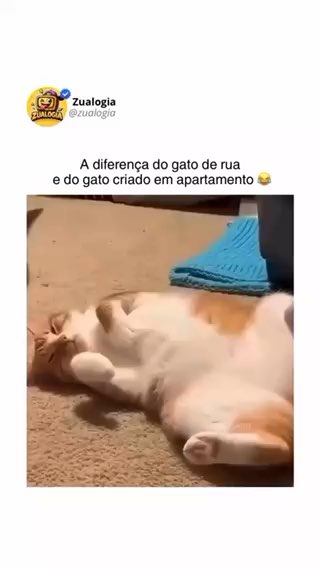 Flip by @francinetrama