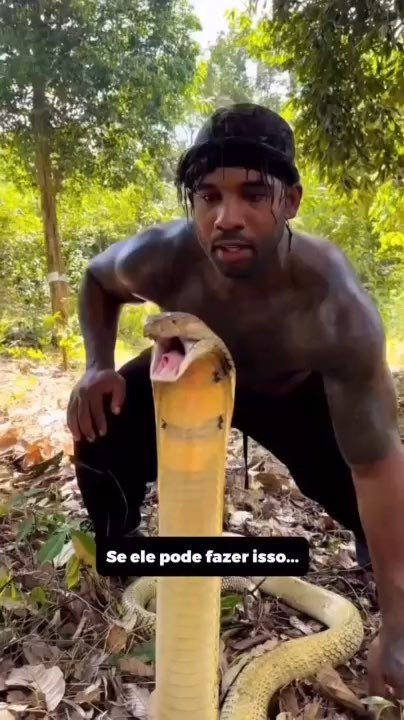 🐍🤣
