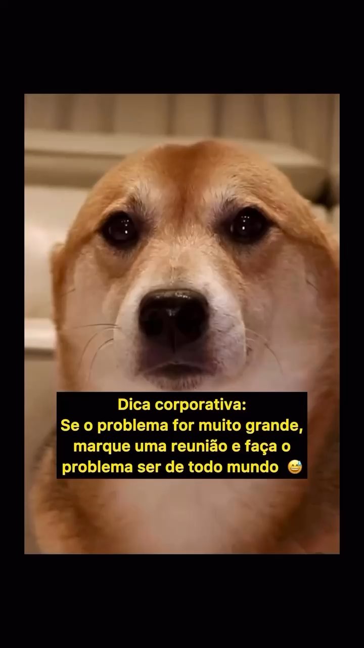 😎