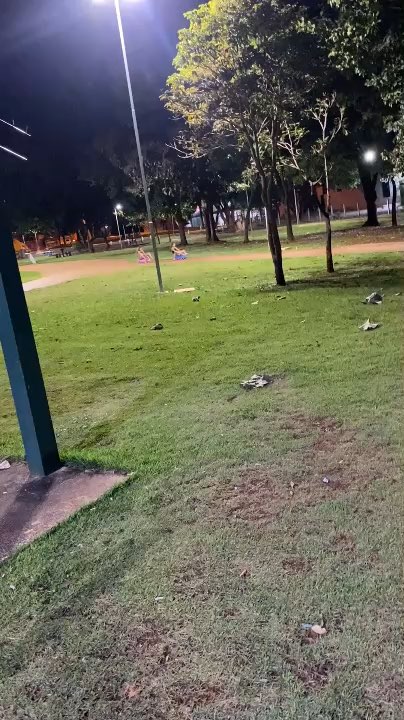 Flip by @suhrodriguesss