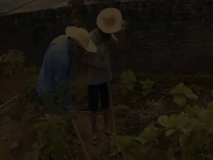 Piadas