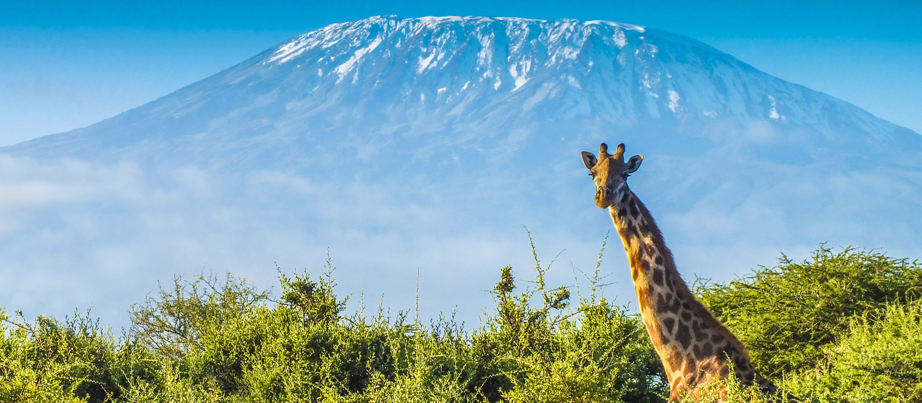 Amazing Things to Do in Africa