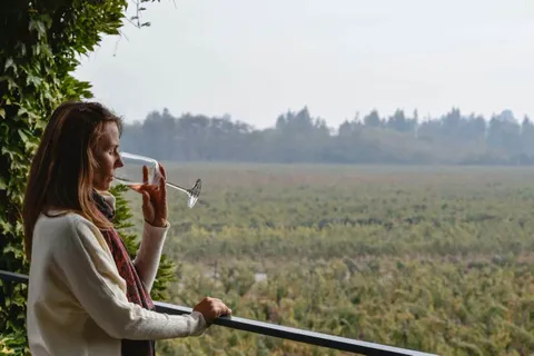 Escapada en Hotel Boutique Solaz Bella Vista, incluye sunset y degustación en viña — 5