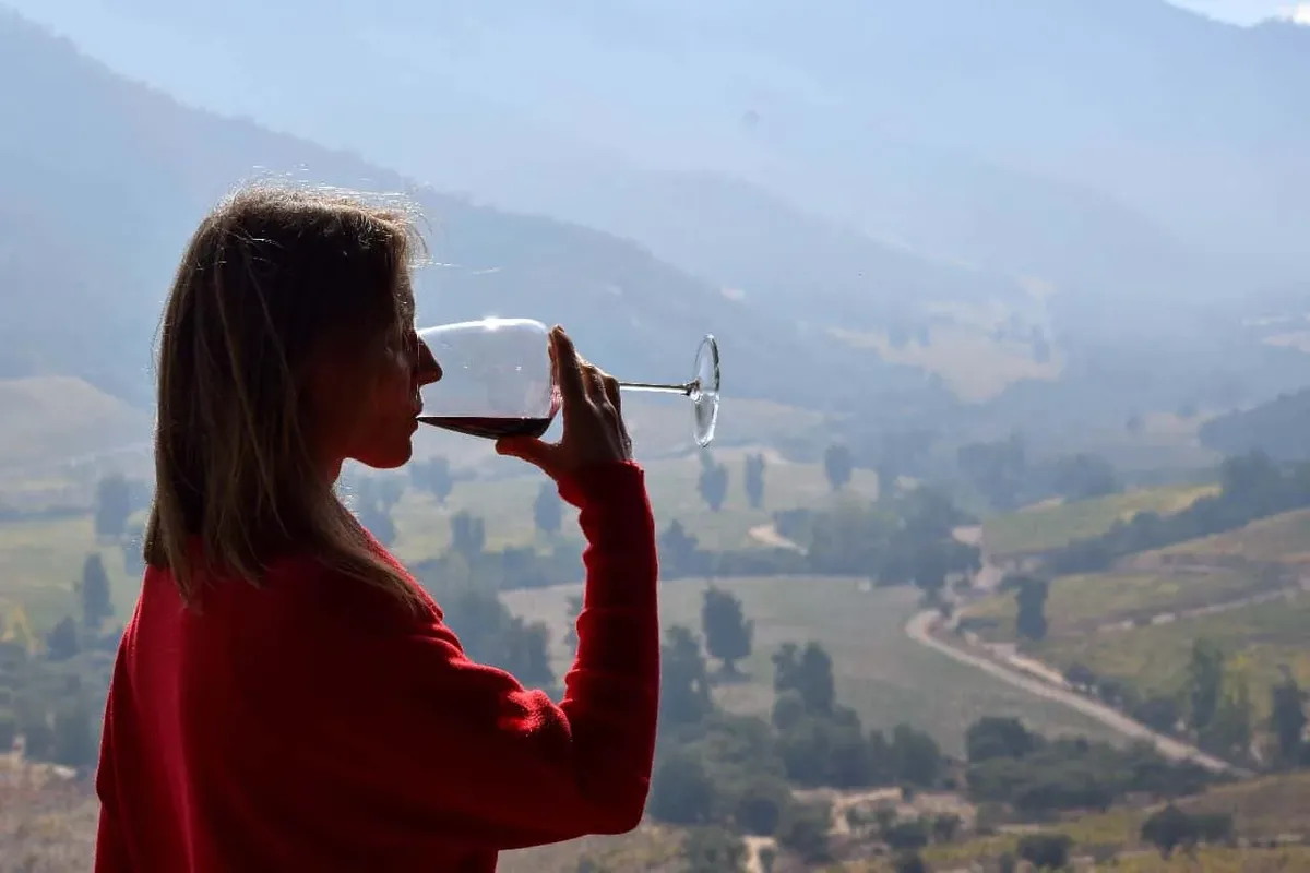 Escapada en Hotel Boutique Solaz Bella Vista, incluye sunset y degustación en viña — 1