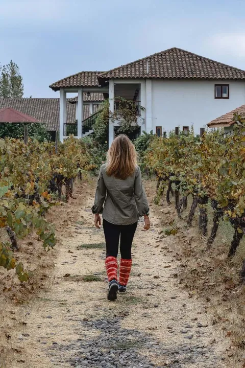 Despierta en medio de una viña en el Valle de Colchagua — 4