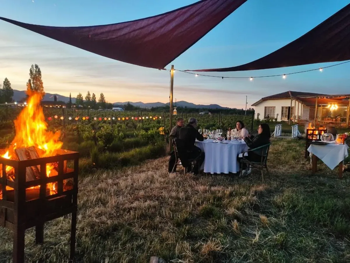 Despierta en medio de una viña en el Valle de Colchagua — 7