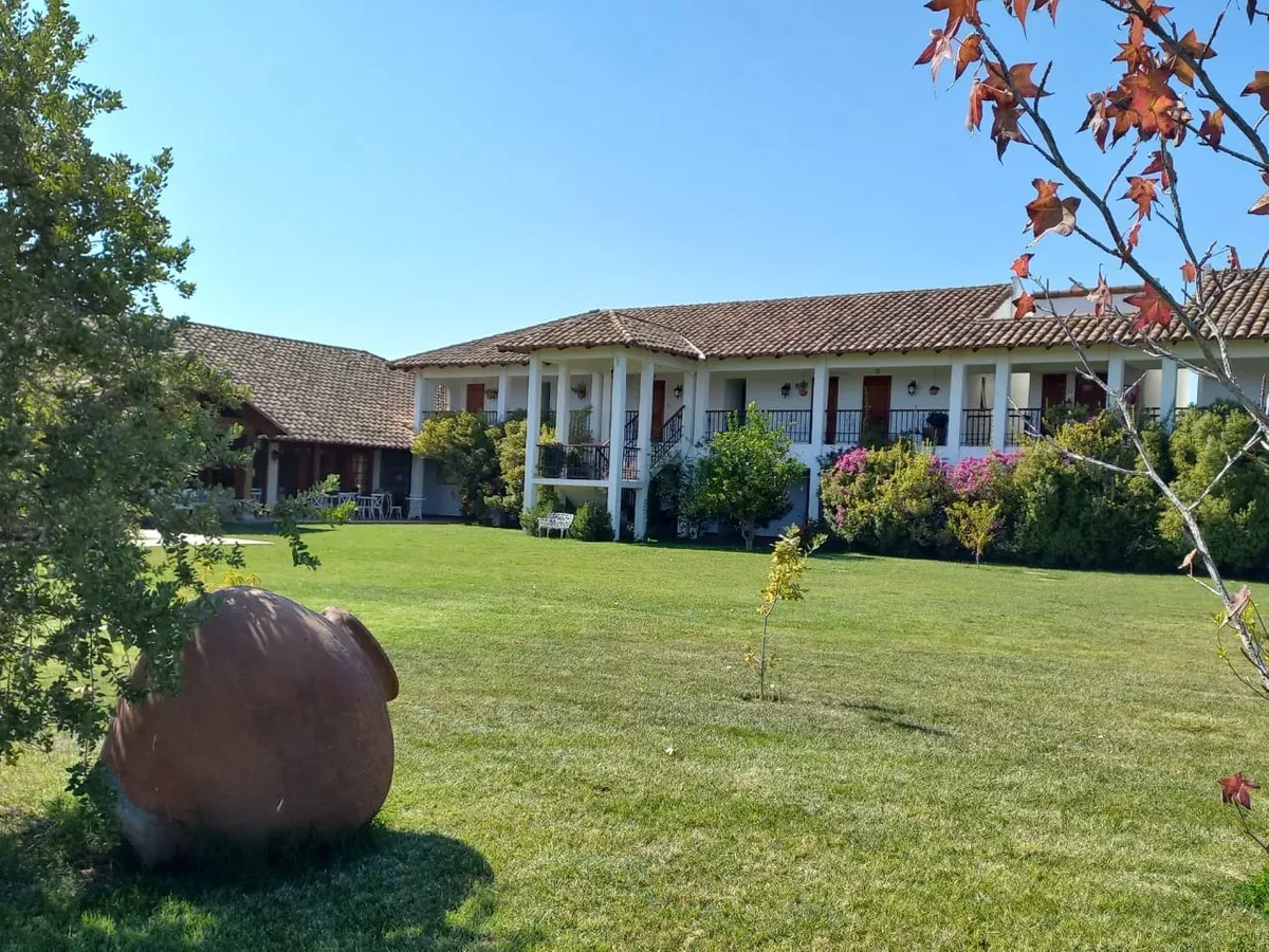 Despierta en medio de una viña en el Valle de Colchagua — 2
