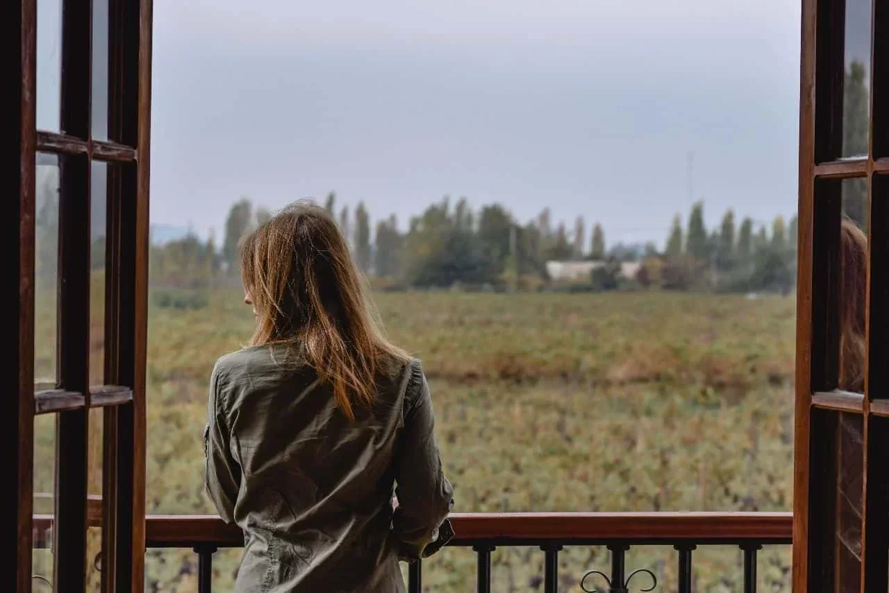 Despierta en medio de una viña en el Valle de Colchagua