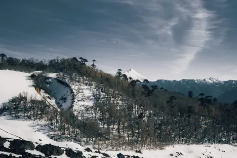 Parque Nacional Conguillío