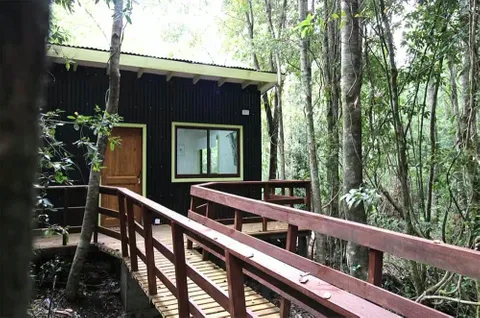 Escapada de desconexión en medio del bosque — 2