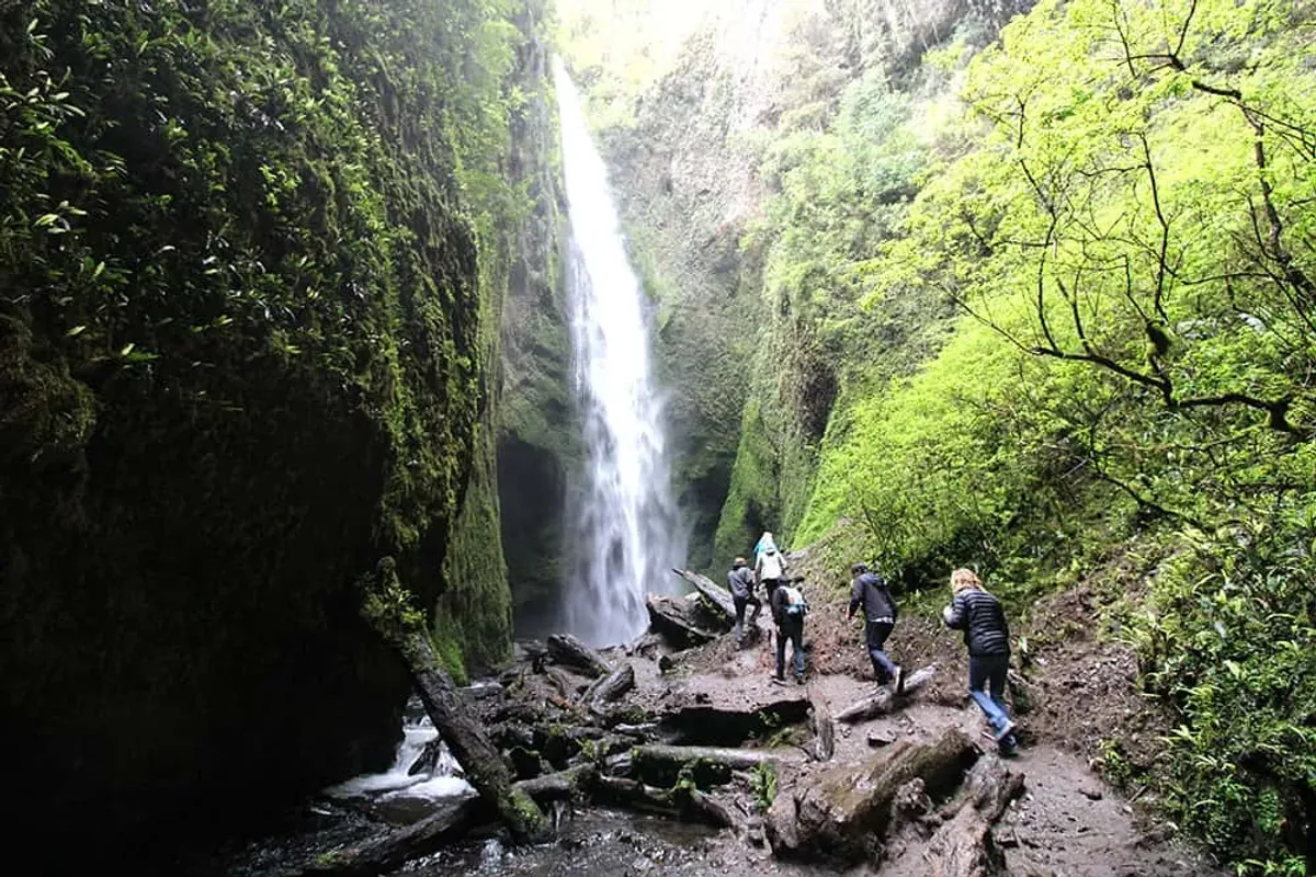 Escapada de desconexión en medio del bosque — 9