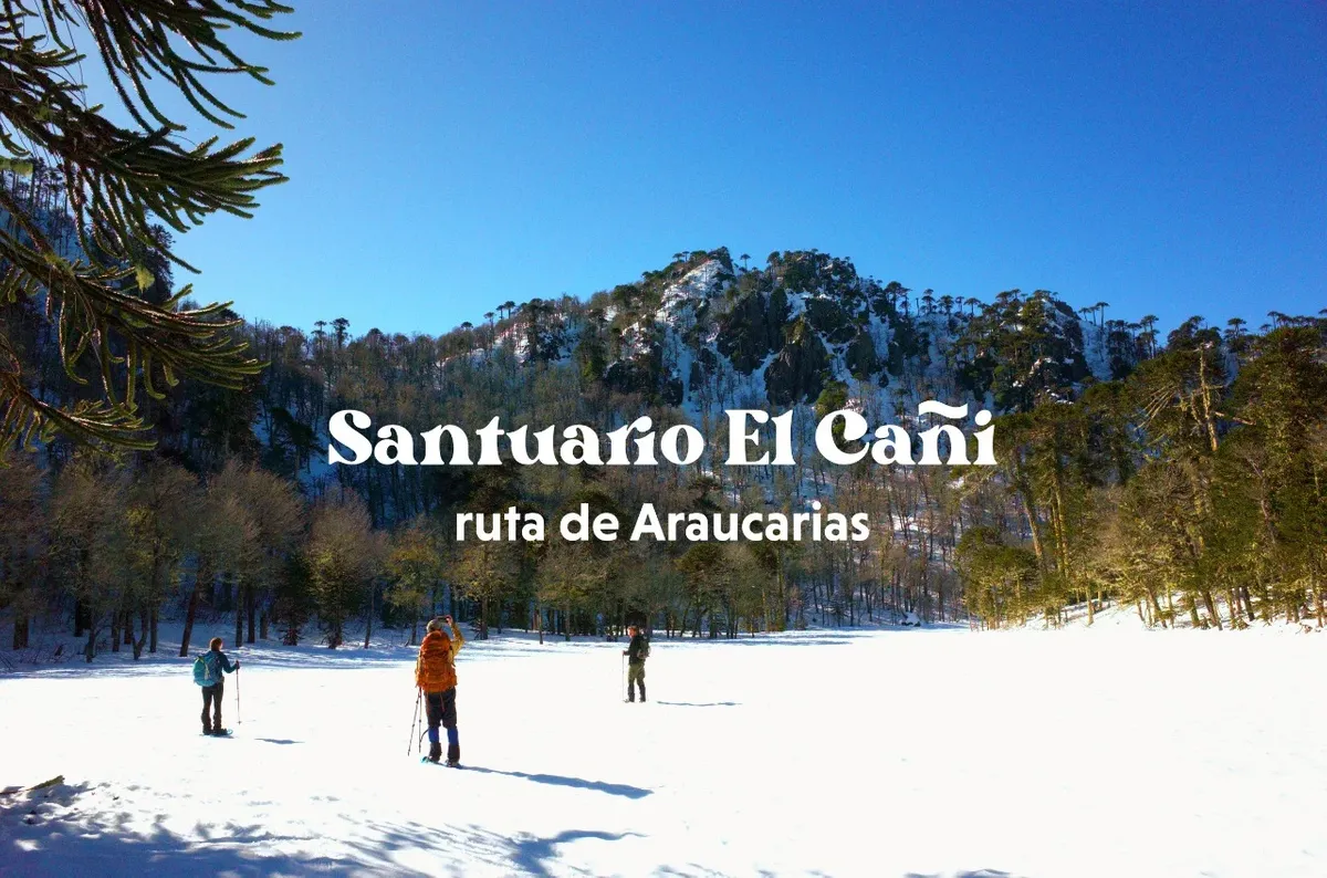 Trekking a elección descansando en un Lodge a 25 minutos de Pucón — 10
