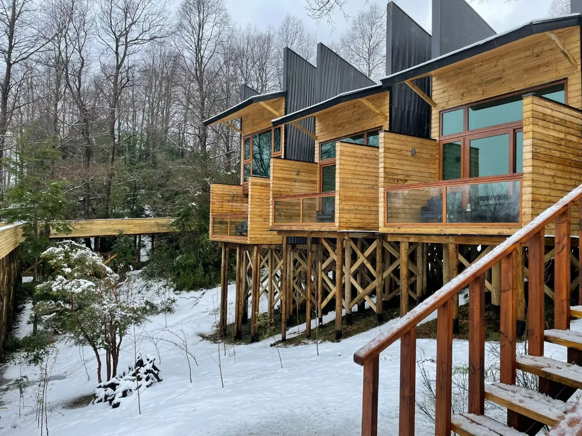 Ninewen nevado 1