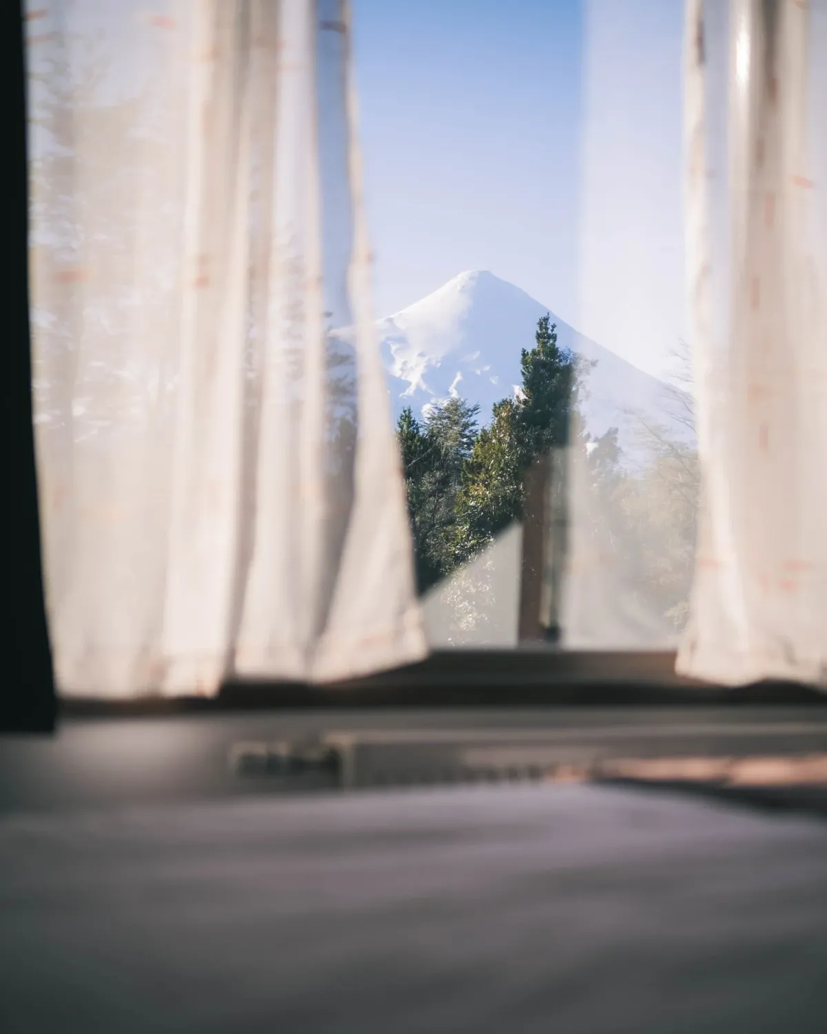 VISTAS 3 1