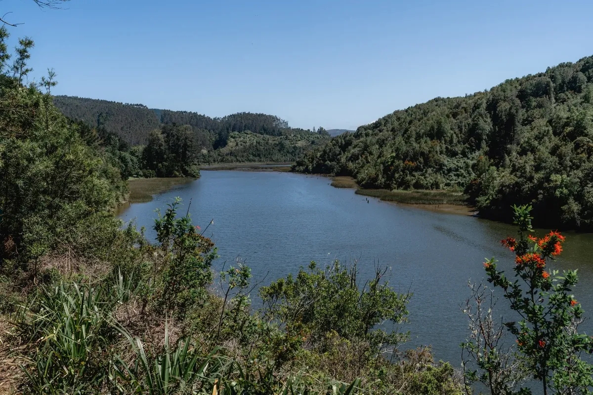 La Escapada Perfecta a 20 minutos de Valdivia 🌿 — 5