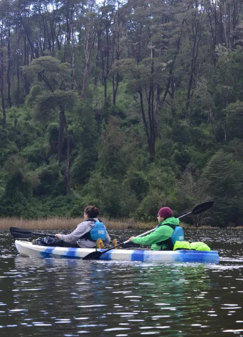 Río y Relajo: Escapada en la Selva Valdiviana con avistamiento de aves desde el kayak — 5