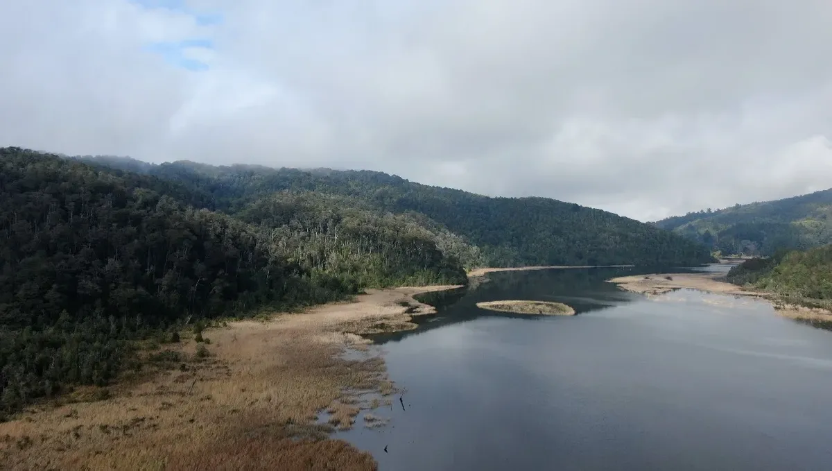 Río y Relajo: Escapada en la Selva Valdiviana con avistamiento de aves desde el kayak — 9