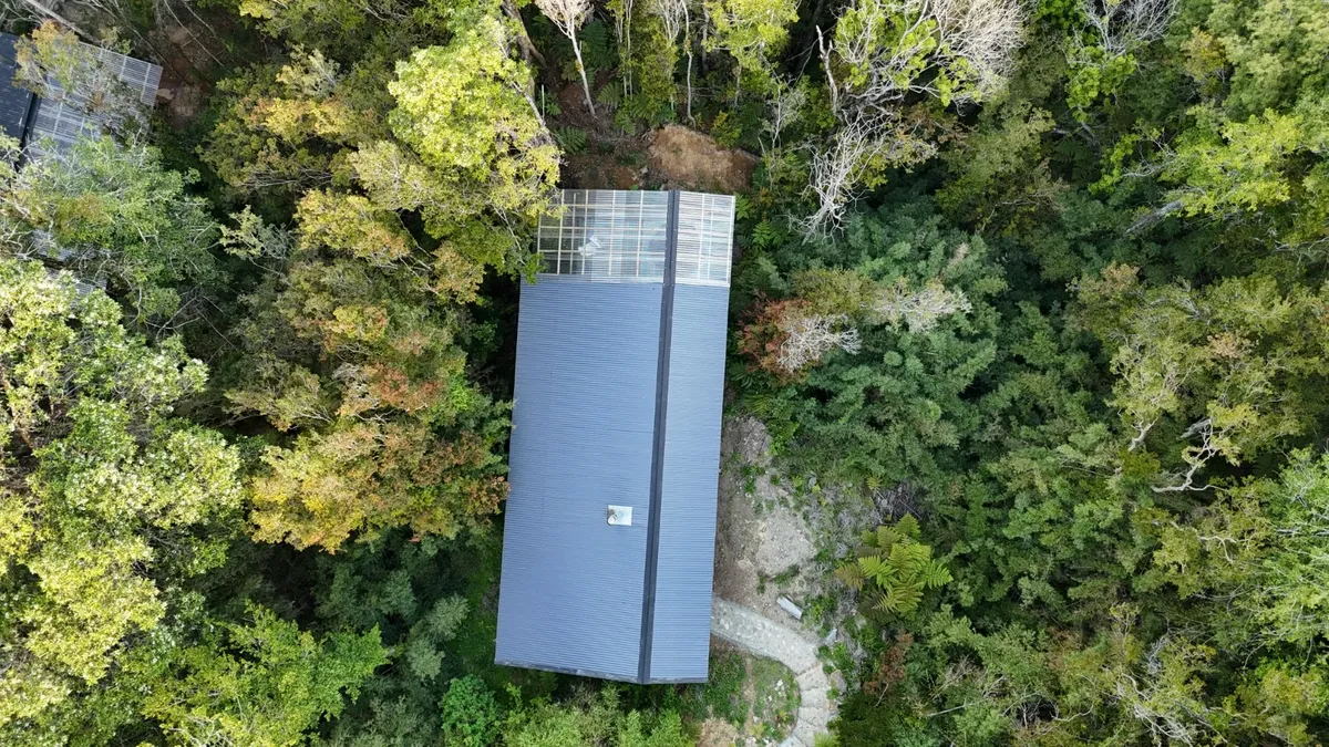 Río y Relajo: Escapada en la Selva Valdiviana con avistamiento de aves desde el kayak — 2