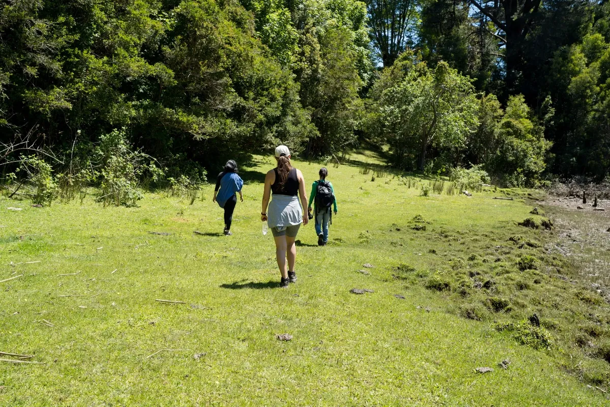 Cabaña con tinaja en medio de la selva valdiviana  (3 noches) — 7