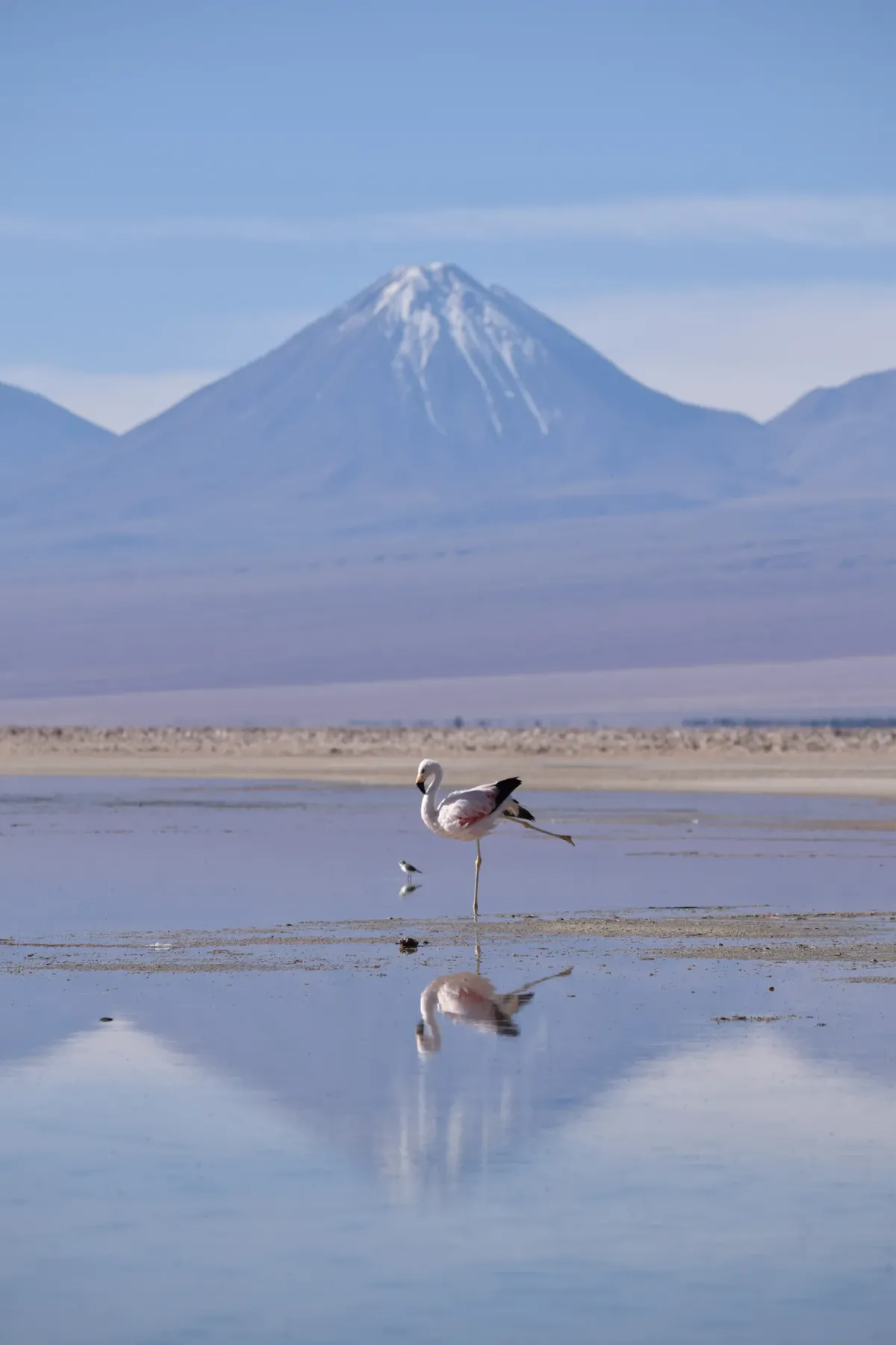 4 días en San Pedro de Atacama (alojando en Hotel Kimal) — 6