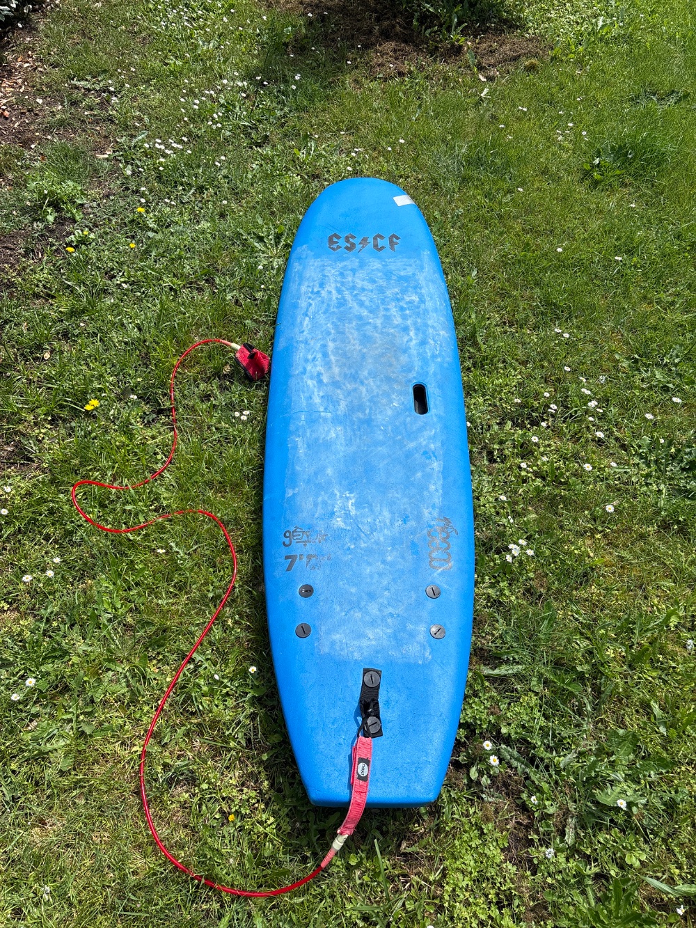 Planche en Mousse “escf”