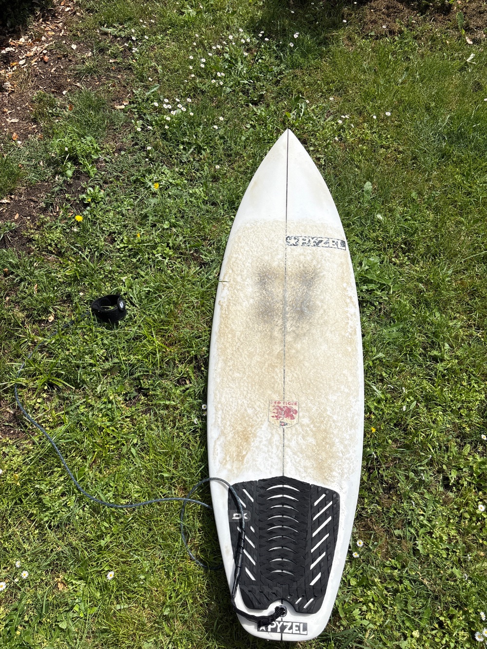 Short board Pyzel 31l