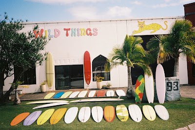 Wild Things Gallery logo