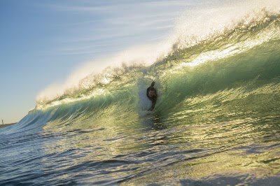 Ecto Bodysurfing Handplanes