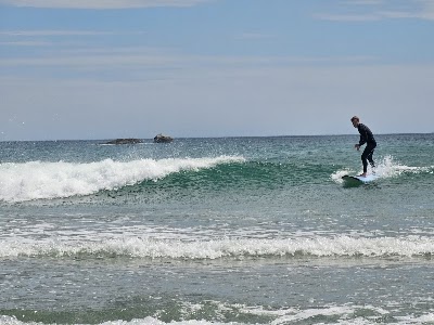 Mount Surf Academy