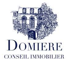 Domiere - Surfyn