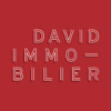 David Immobilier - Surfyn
