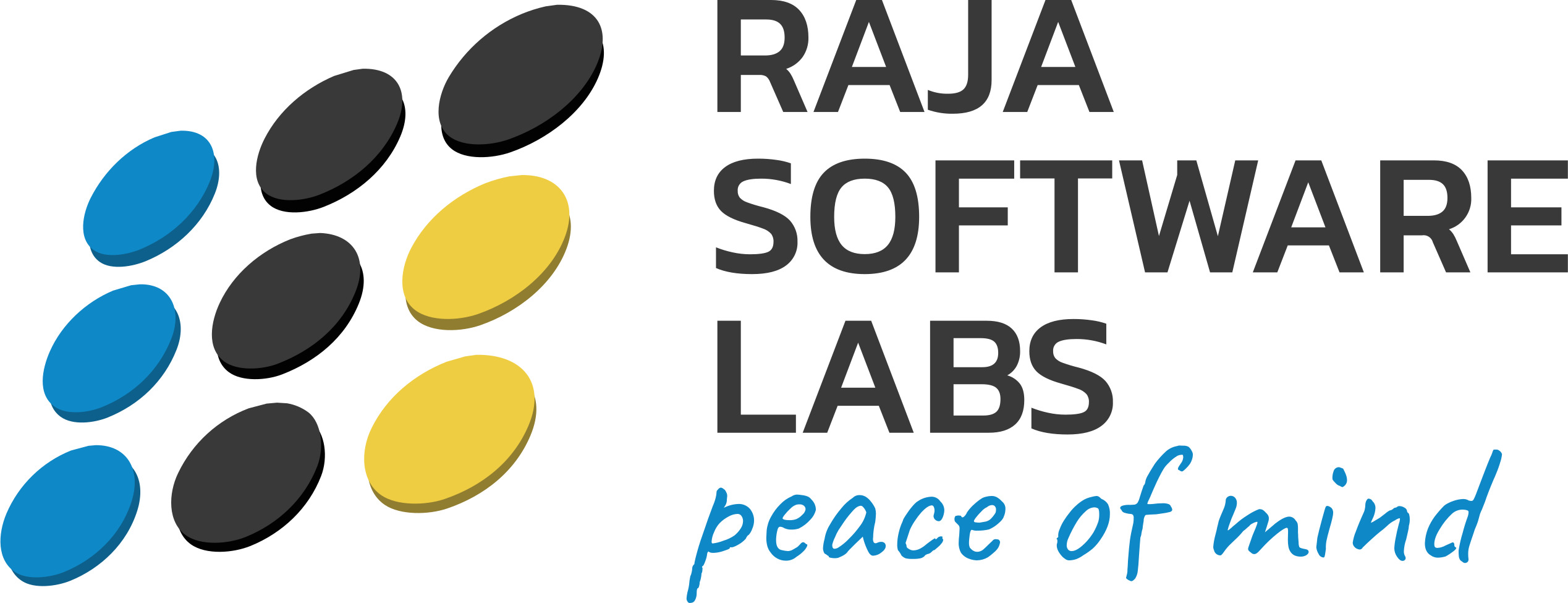 Raja Software Labs logo