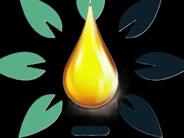 ProGreen Innovations