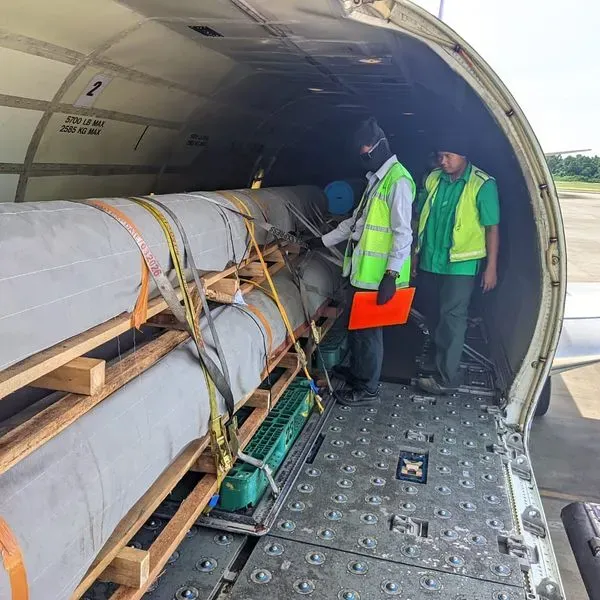 Workers loading boxes into a truck