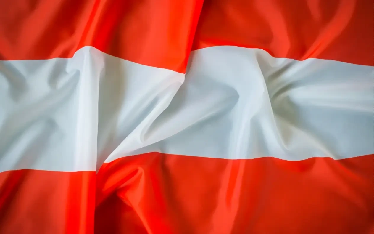Dete koristi mobilni telefon dok Austrija priprema ograničenje društvenih mreža za mlađe od 14 godina
