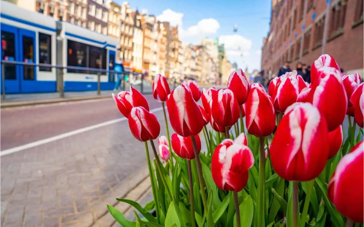 Austrija lokacije Lokacije u Austriji koje morate da posetite